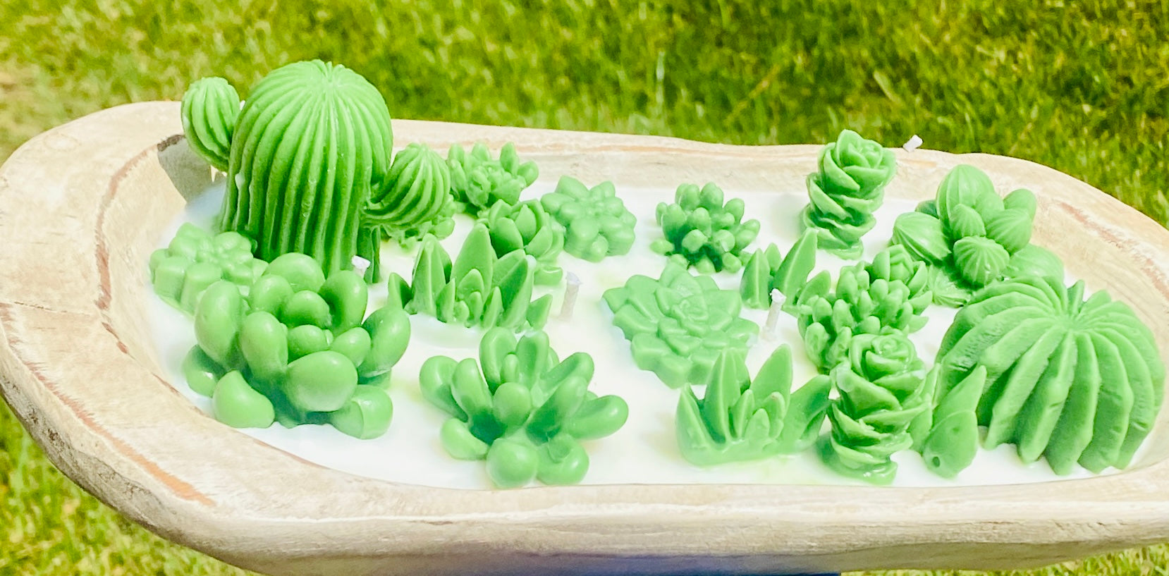 Baja Cactus Scented Dough Bowl Candle