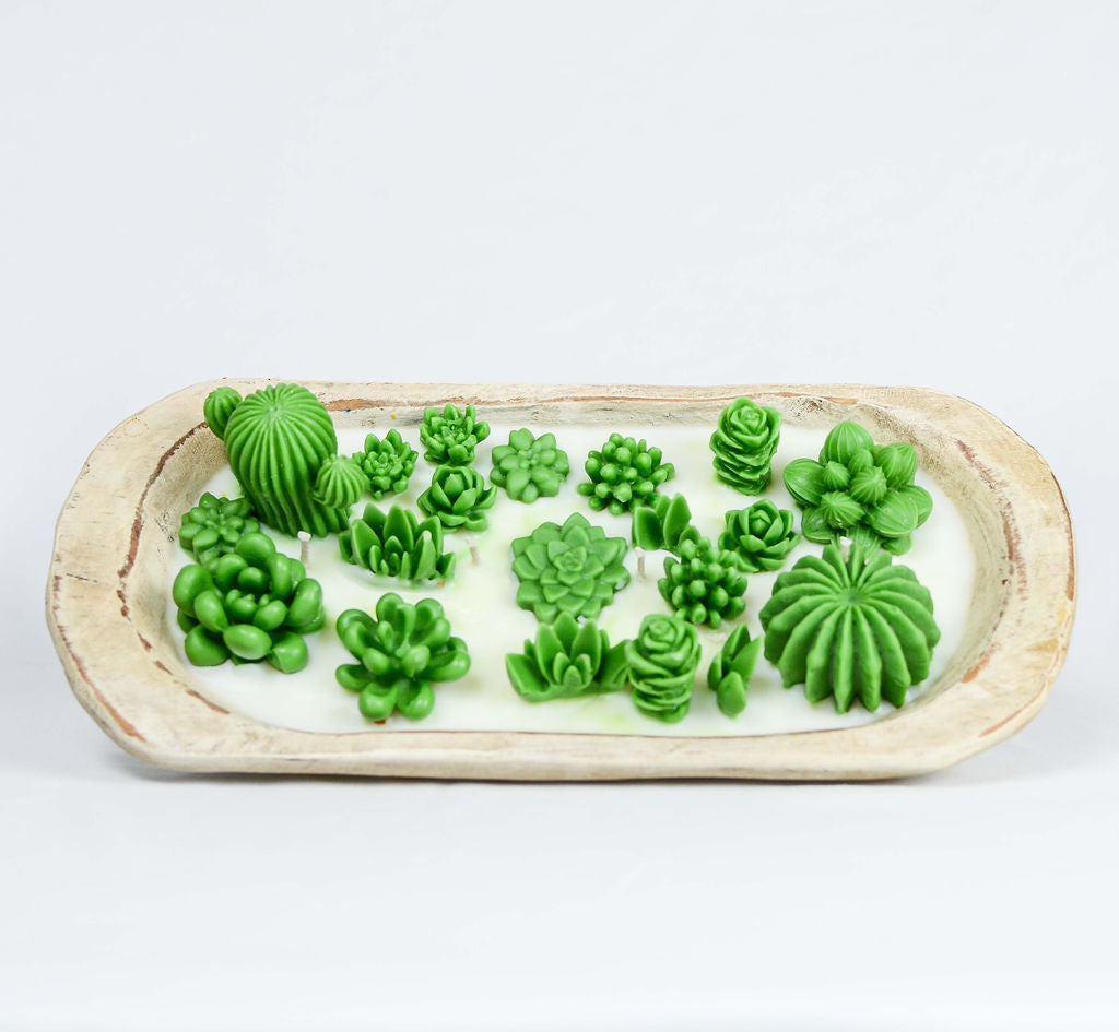 Baja Cactus Scented Dough Bowl Candle