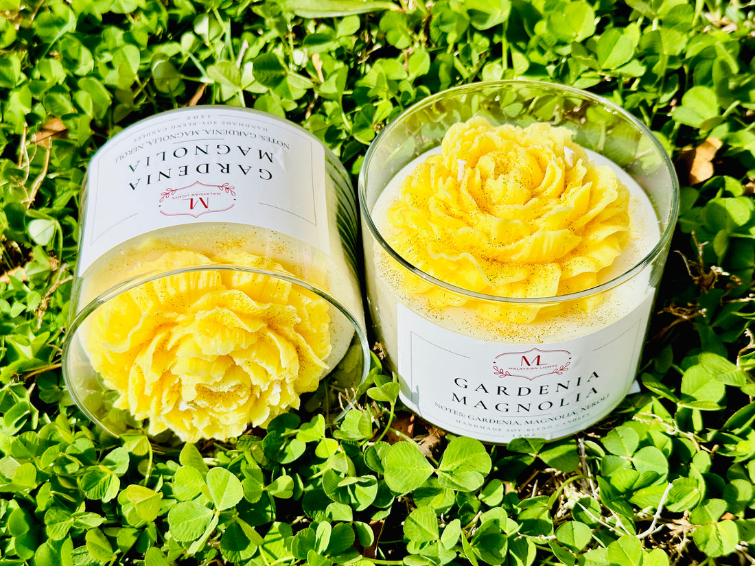 Gardenia Magnolia